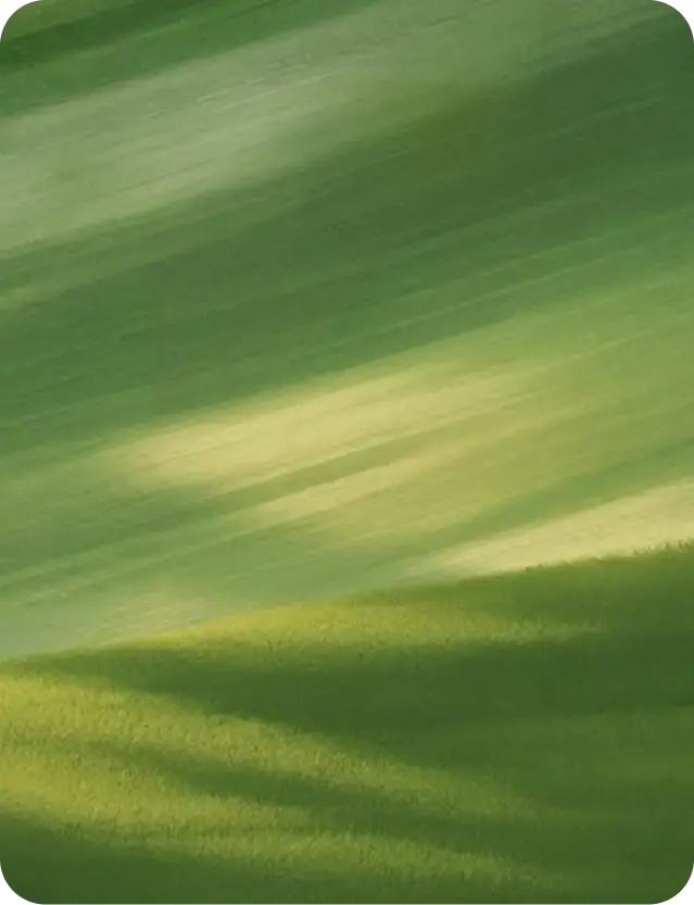 Fundo Card Brasil-1